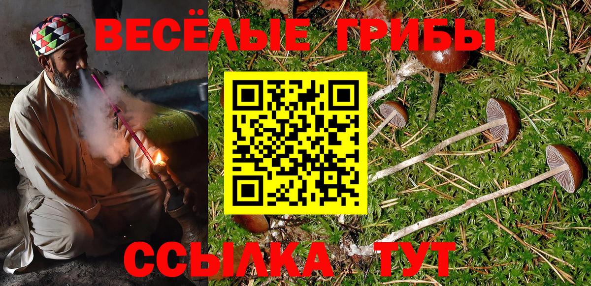 Галлюциногенные грибы Psilocybe Чусовой