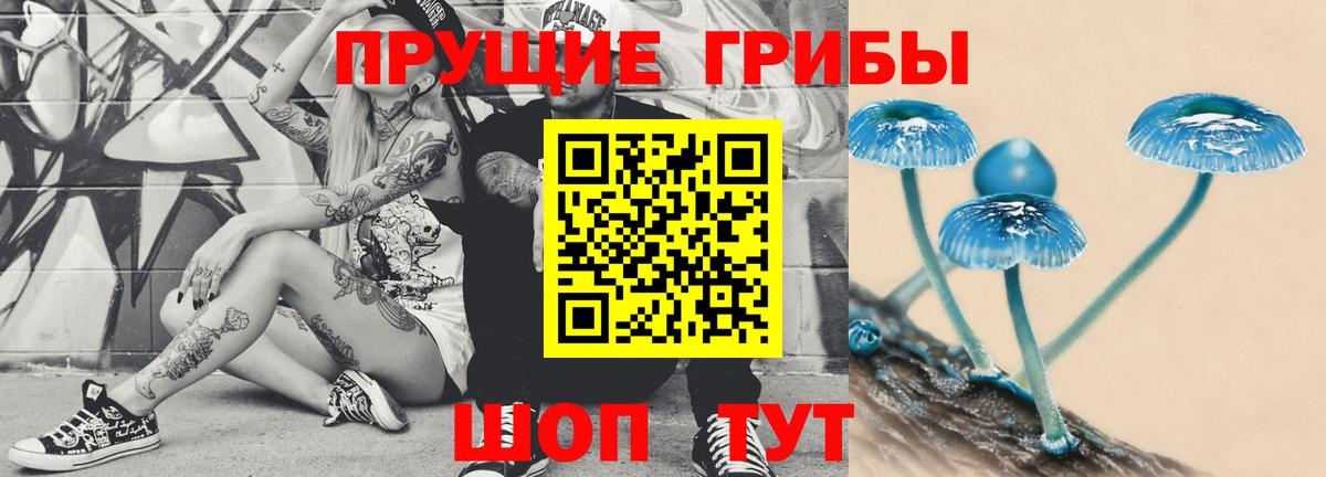 Чусовой  Галлюциногенные грибы GOLDEN TEACHER  Галлюциногенные грибы Psilocybe  Вход с VPN 